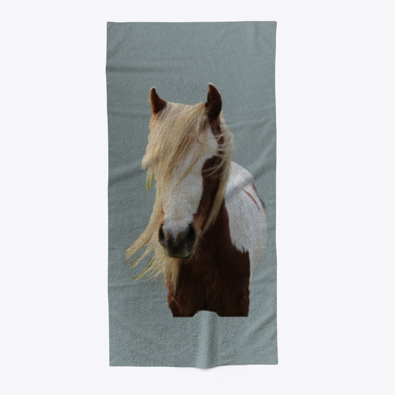 Raisin the Skewbald Pony