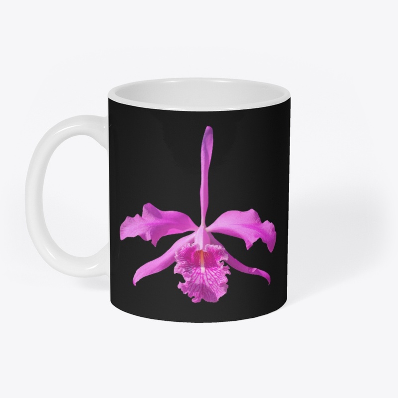 Cattleya maxima line dark