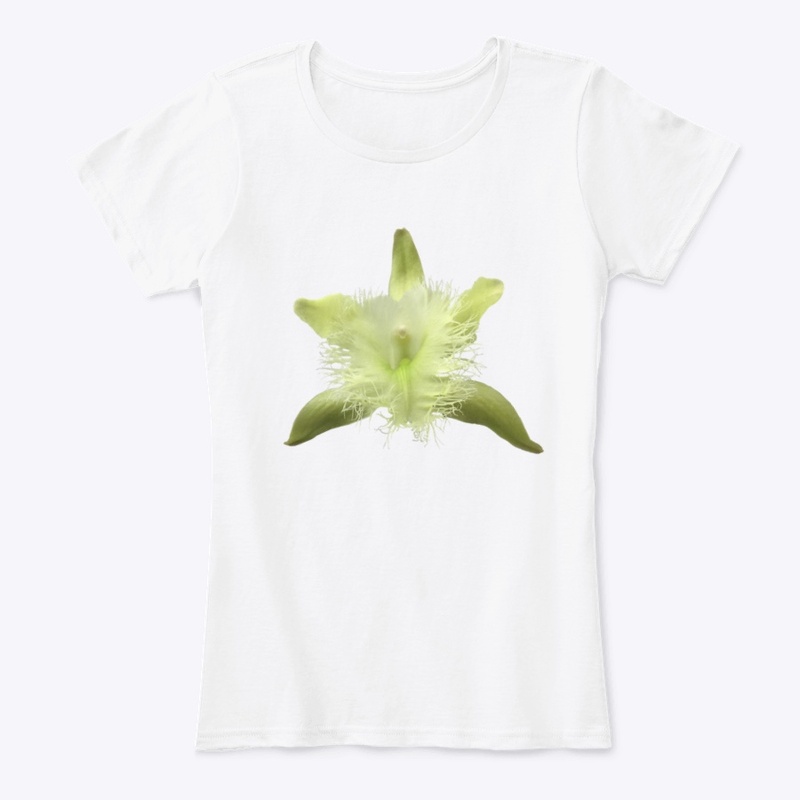 BRASSAVOLA DIGBYANA Line