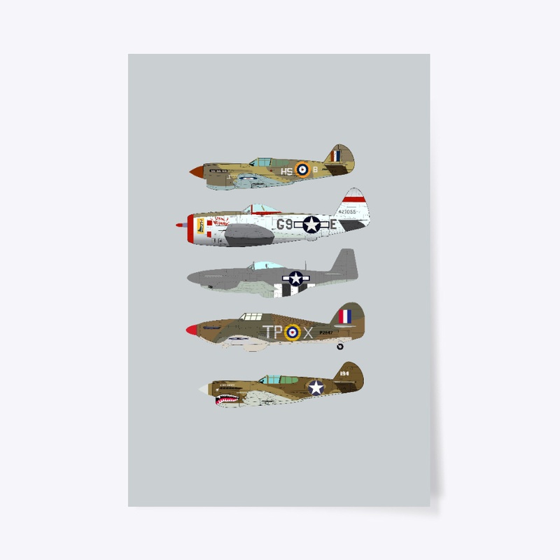 Warbirds of WW2