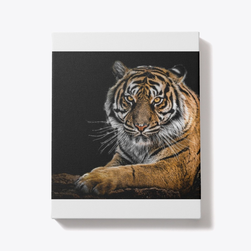 Tigers