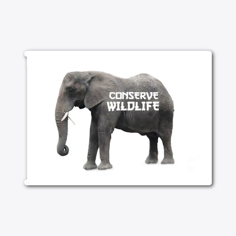 World Of Wildlife Stickers