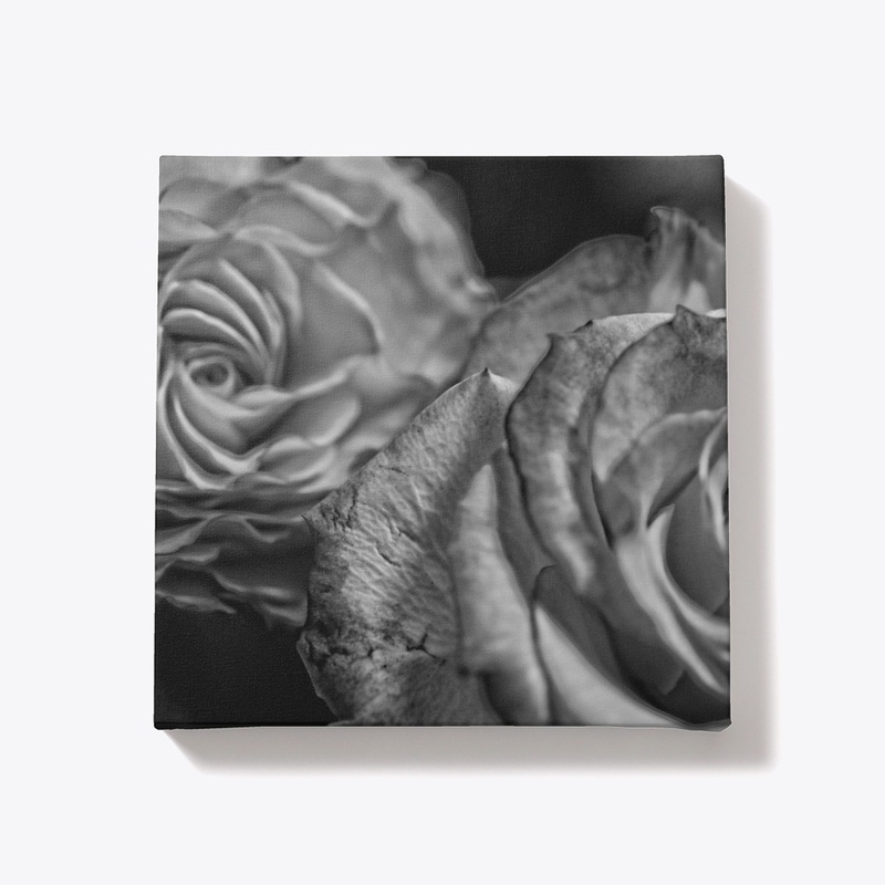 Black and White Tea Roses