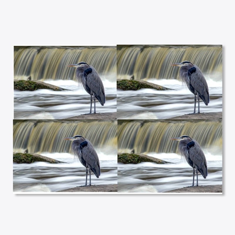 Great Blue Heron at Waterfall Mug