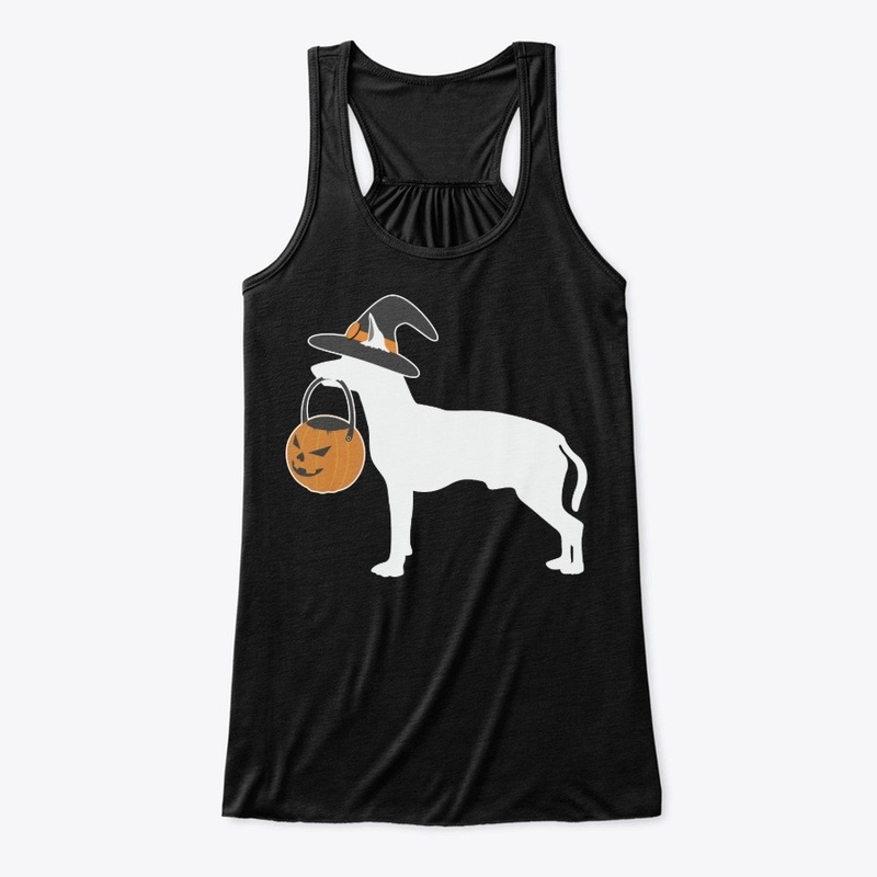 Halloween Spanish Greyhound Dog