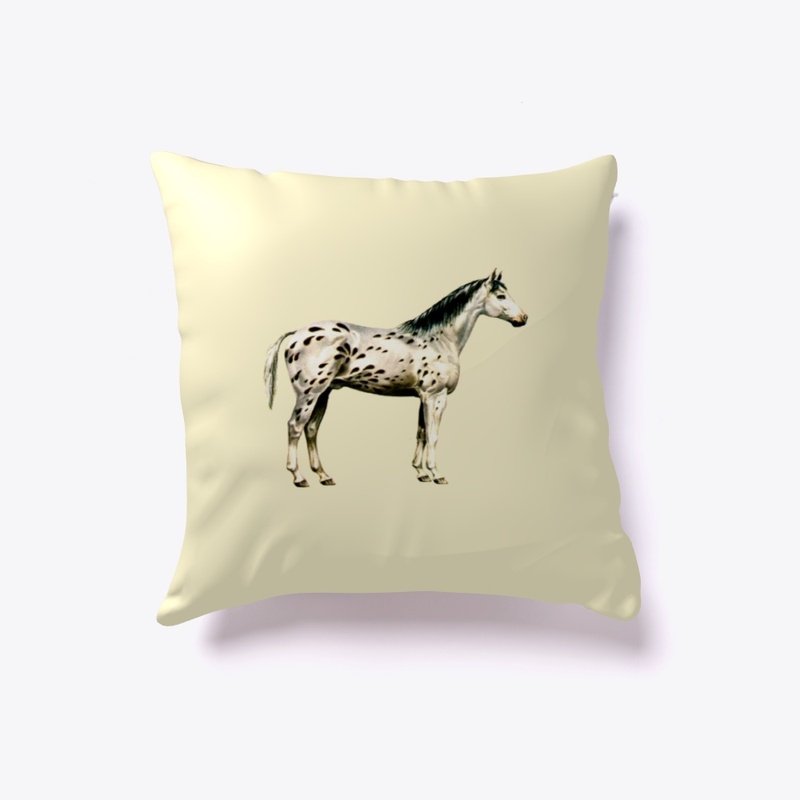 Appaloosa Raindrop
