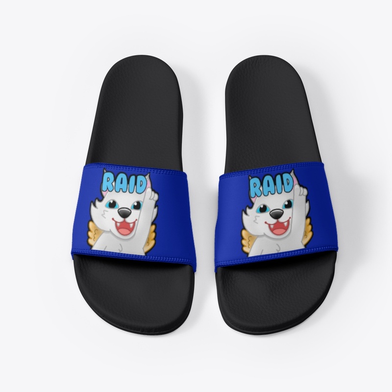 Raid Slides