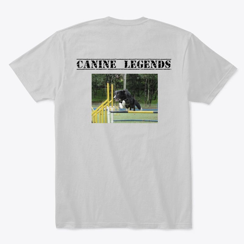 Arrow Canine Legends Outfit