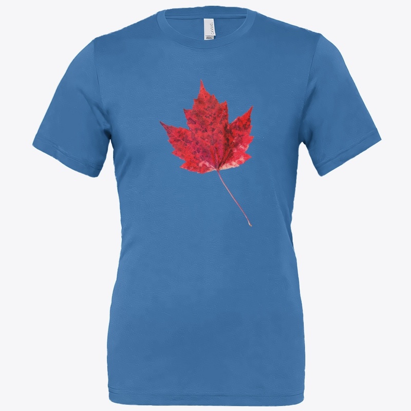 Vibrant Red Maple Leaf .