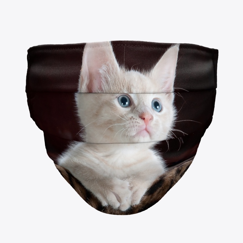 Funny cat printed products