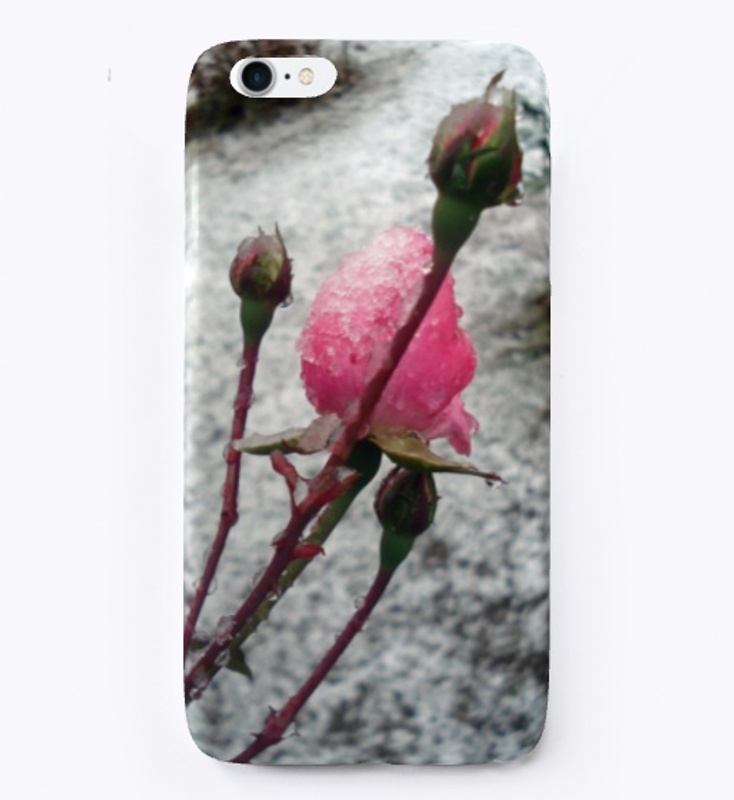 Winter rose