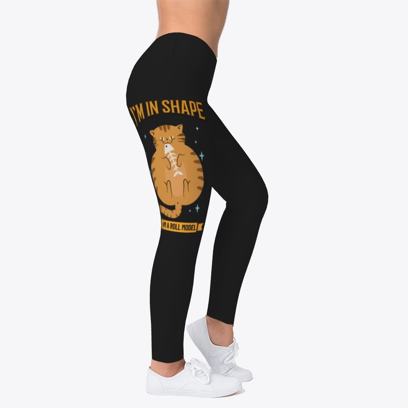 Fat funny chubby fluffy cat kitten