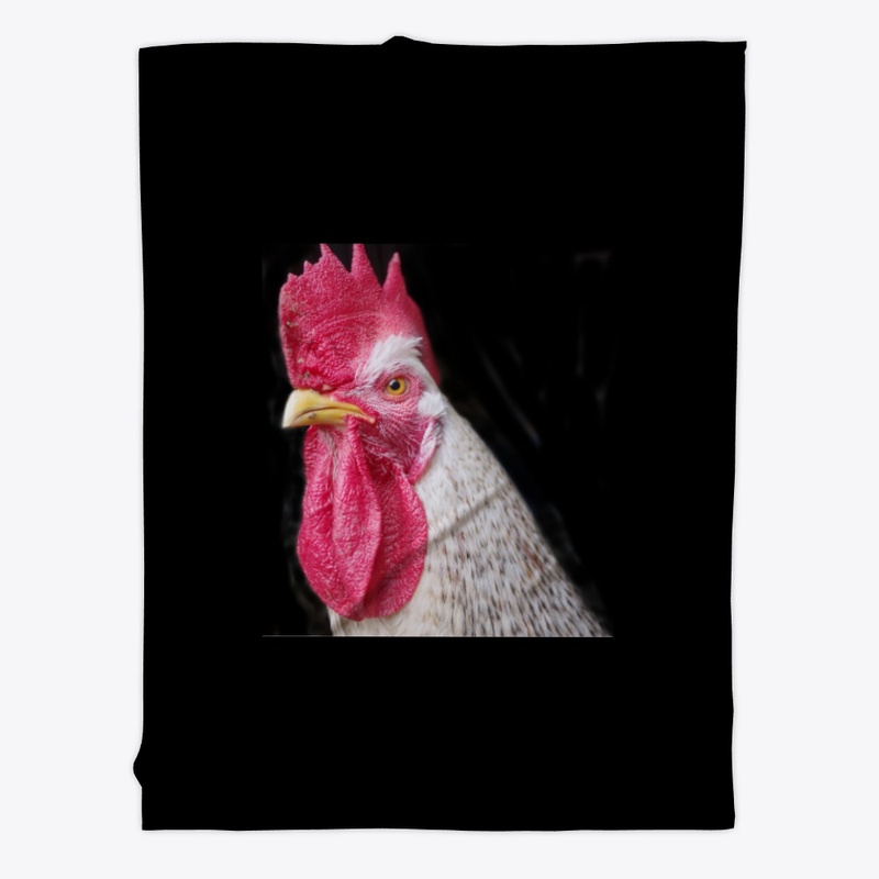 rooster chicken farm animal