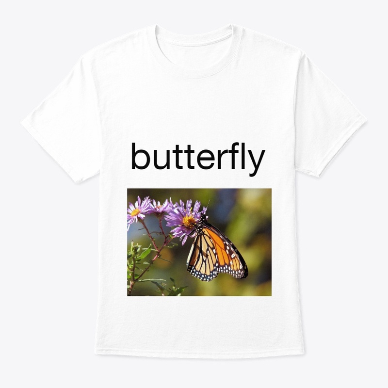 btterfly collection