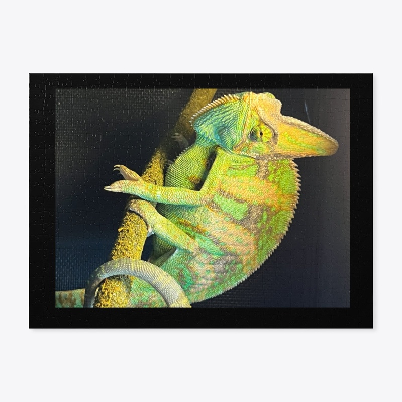 Chameleon Puzzle