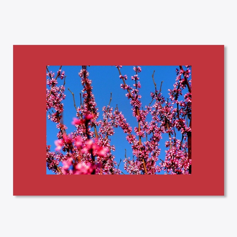 pink tree
