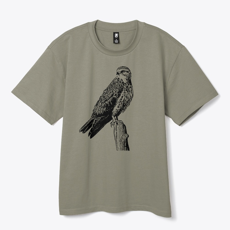 Birdwatching- Swainson's Hawk