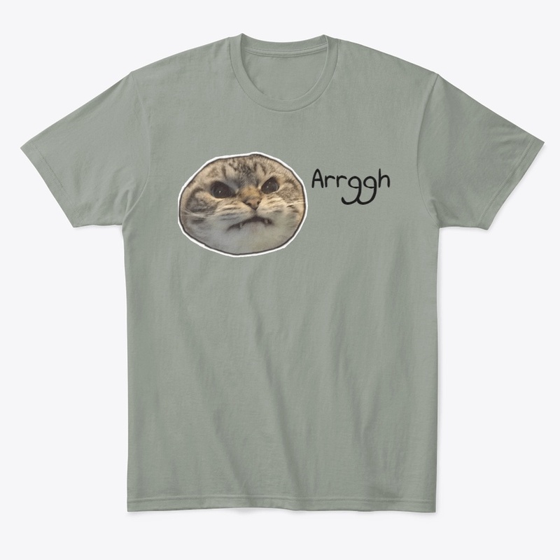 Angry cat