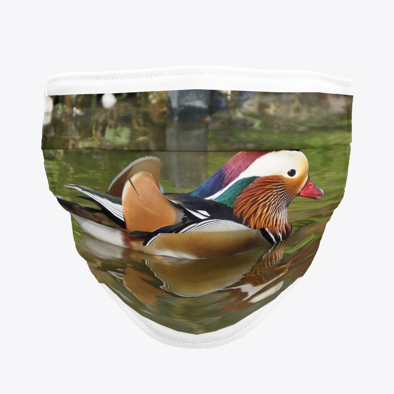 Duck`s mask