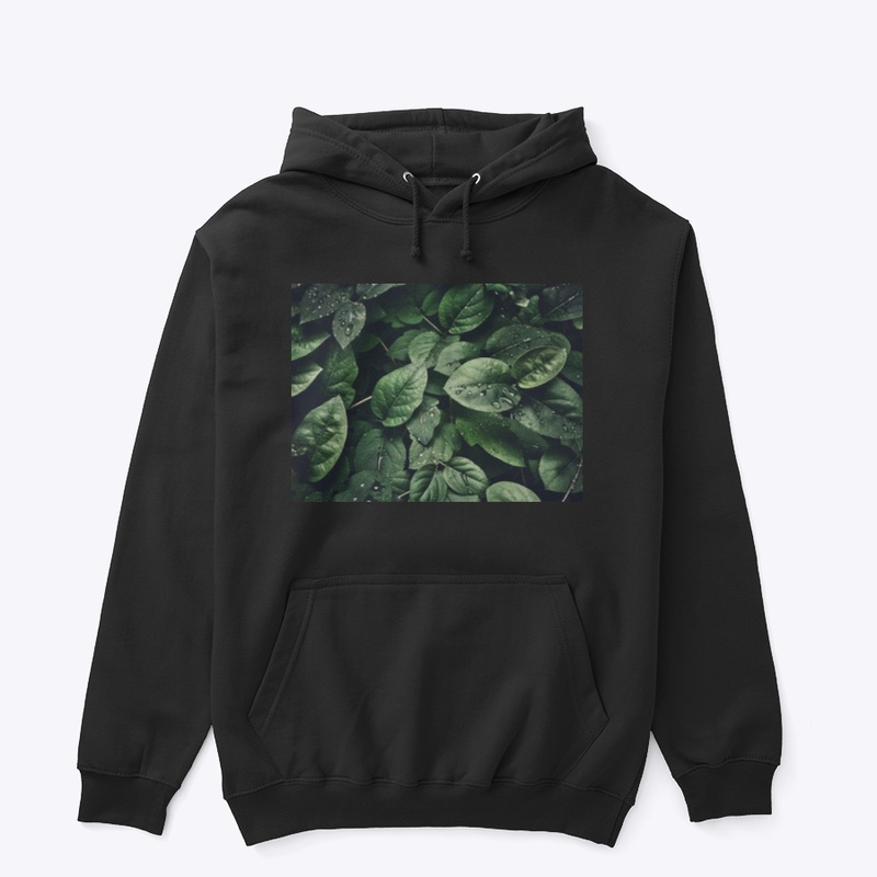 the rain in the leaves