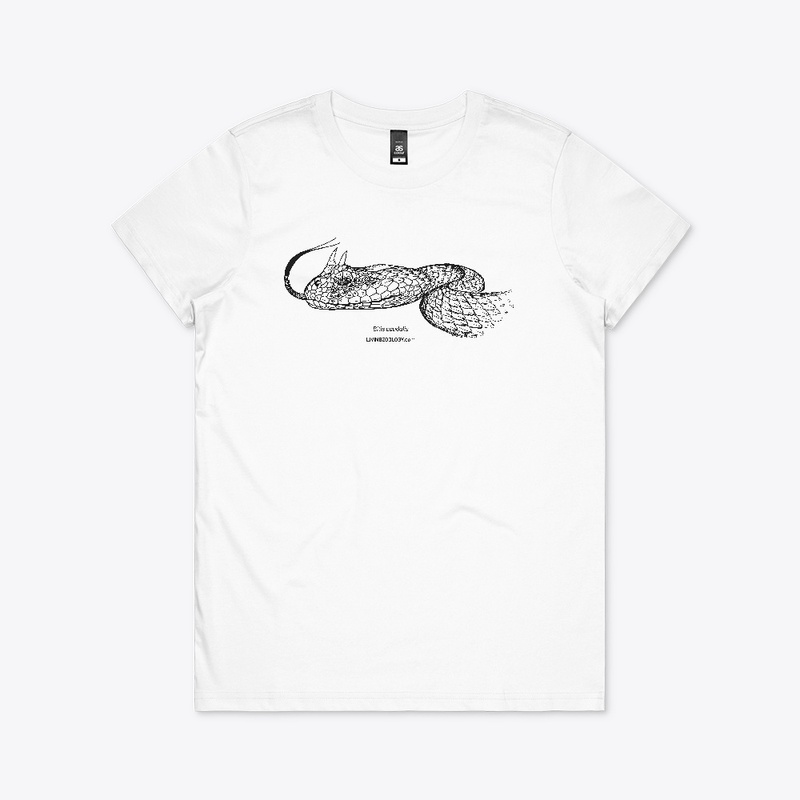 Bitis caudalis black and white