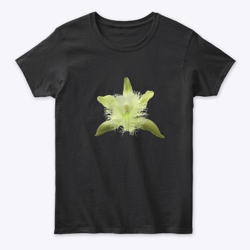 BRASSAVOLA DIGBYANA Line - dark