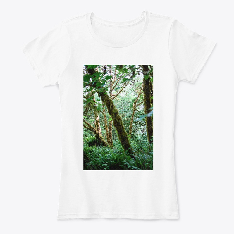 California Forest