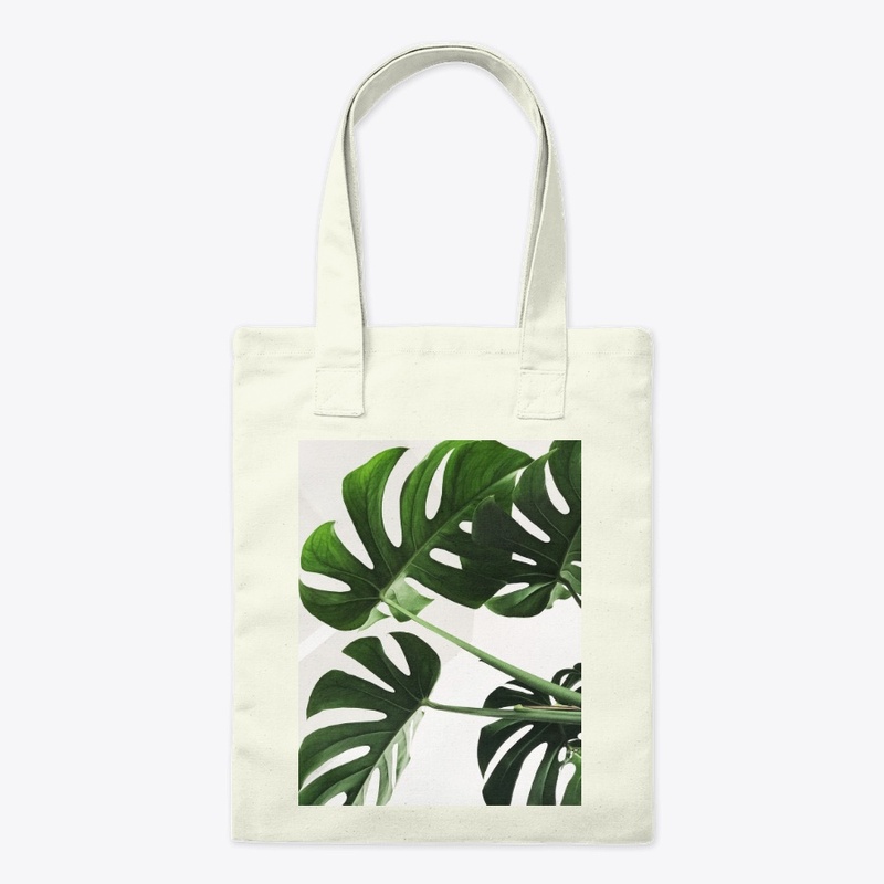 Palm Paradise