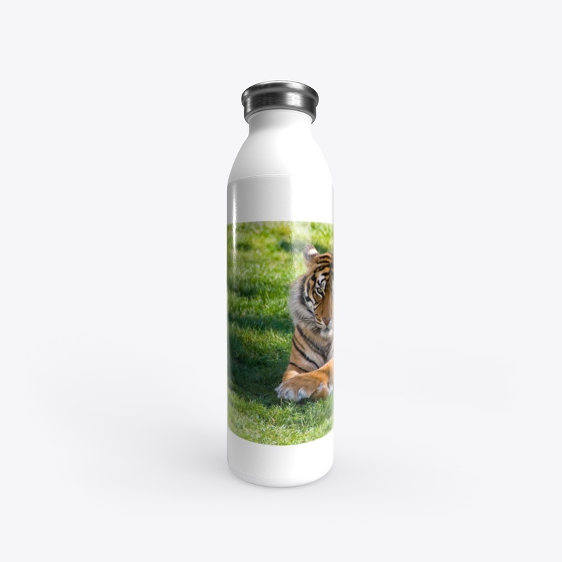 Tiger lying on green grass