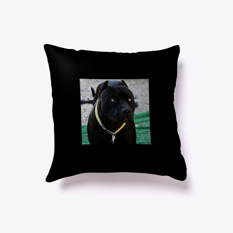 Pitbulls Black