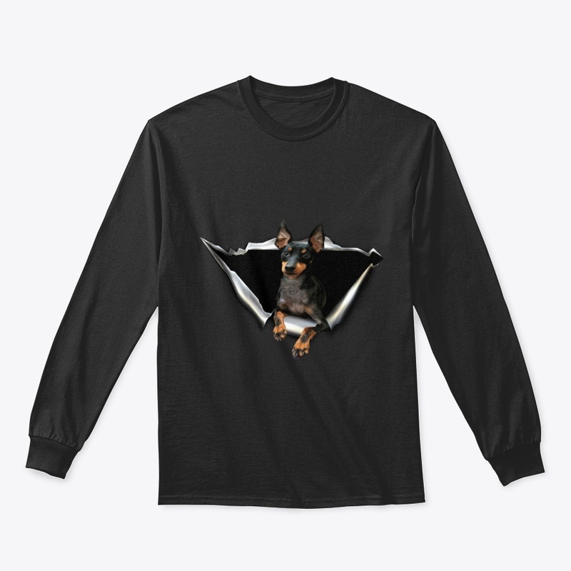 English Toy Terrier