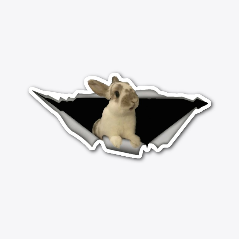 Rabbit car decal 