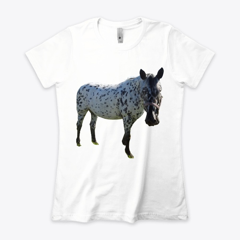 horse i love