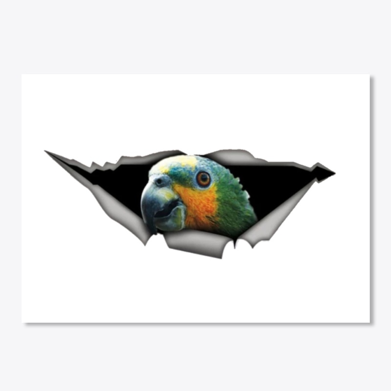 parrot stickers