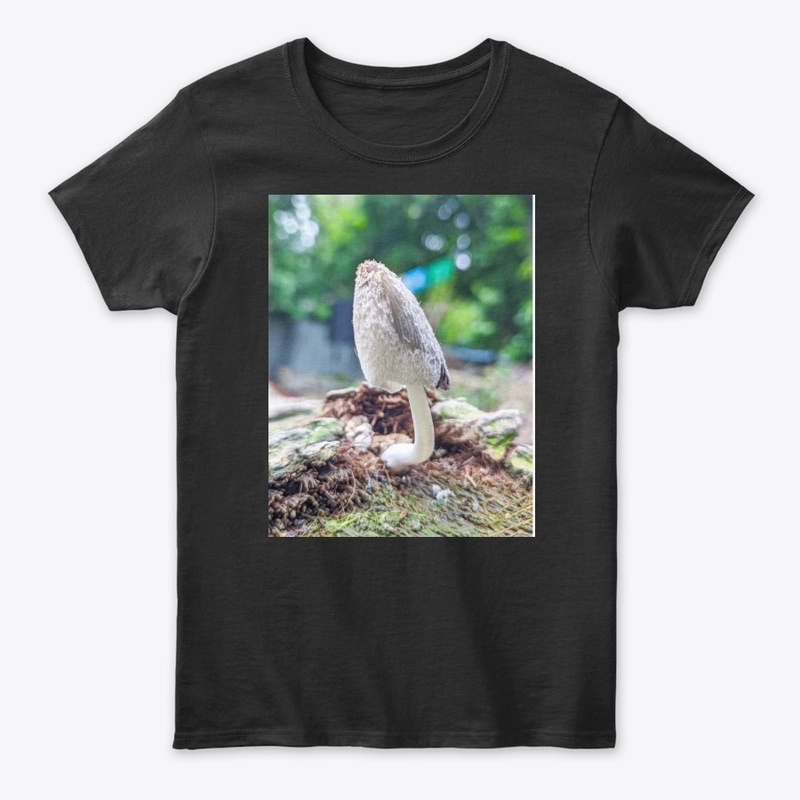 Comfort Colors  Tee price