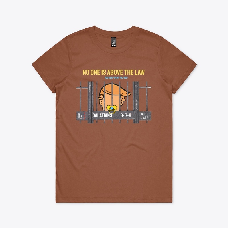 Trump Hoodie | No One Is Above The Law