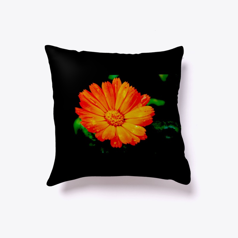 Bring spring into your home!