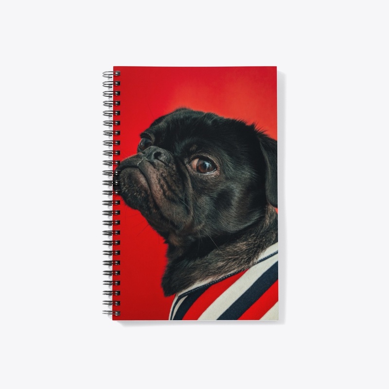 Animalspersons