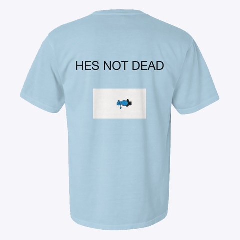 E. Just. E. Chambray T-Shirt Back