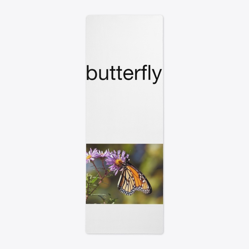 btterfly collection
