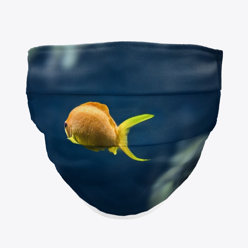 Underwater Nature Animal World