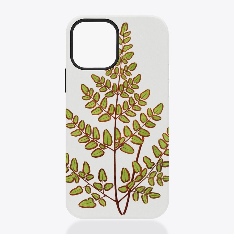 Vintage Leaf