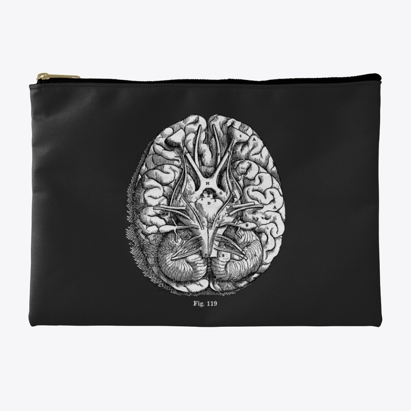 Brain Diagram