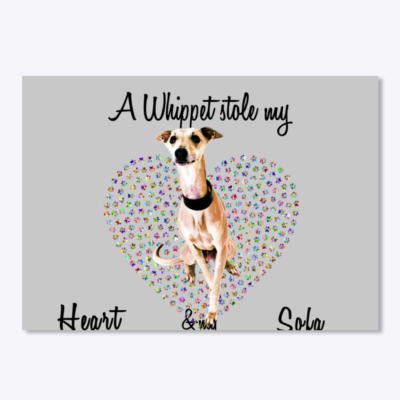 a whippet dog stole my heart