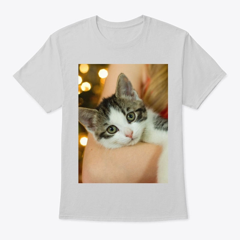 Cute Cat