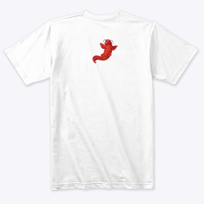 Chinese boy riding a fish