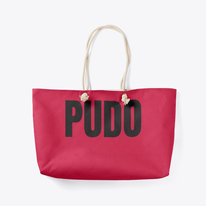 Pudo