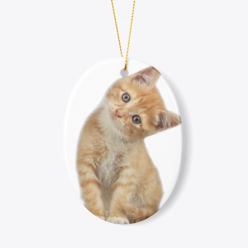 Funny cat product