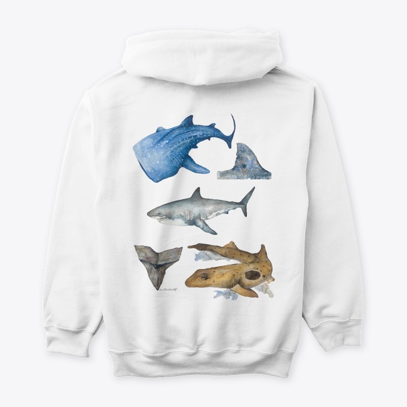 Shark Collection