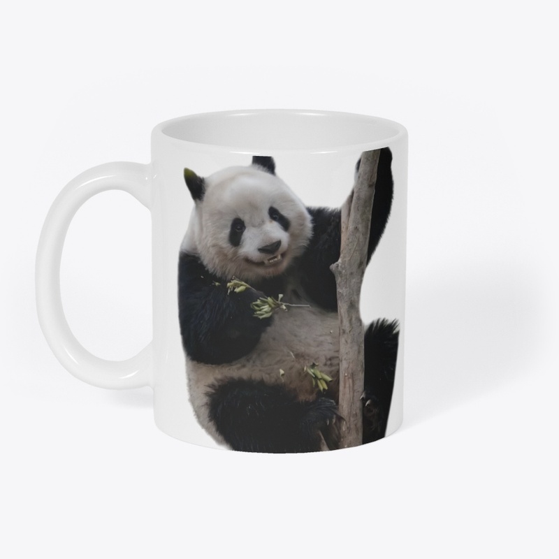 BEICHEN🐼Giant Panda